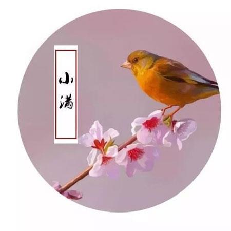 表达心烦意乱心情的句子_心烦短句