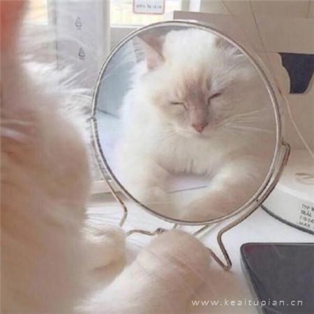他说他不是渣男