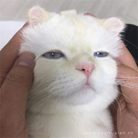 冬情雪韵