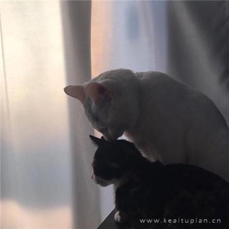 拆掉摄像头！婚姻需要私密空间