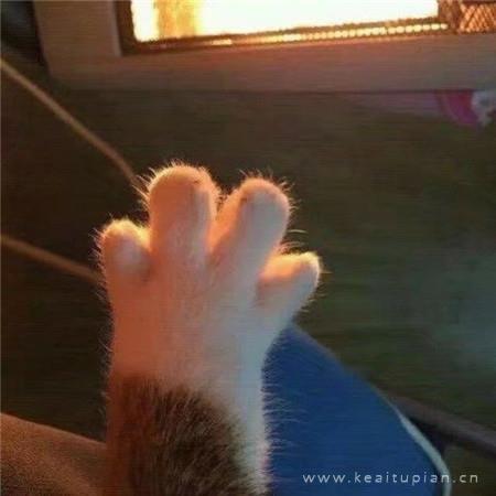 郭敬明经典伤感语录 时间没有等我，是你忘了带我走