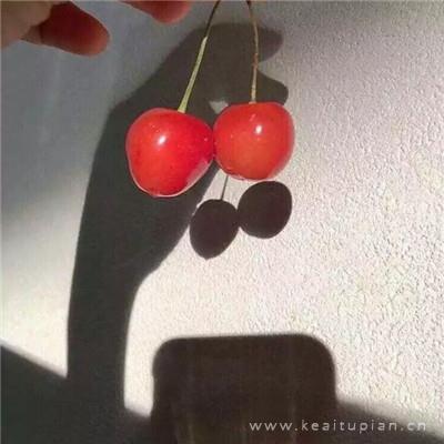 我何时能触碰到你
