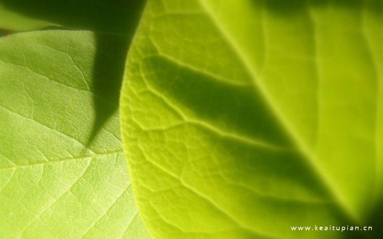 匆匆那年经典语录大全❤匆匆那年短句