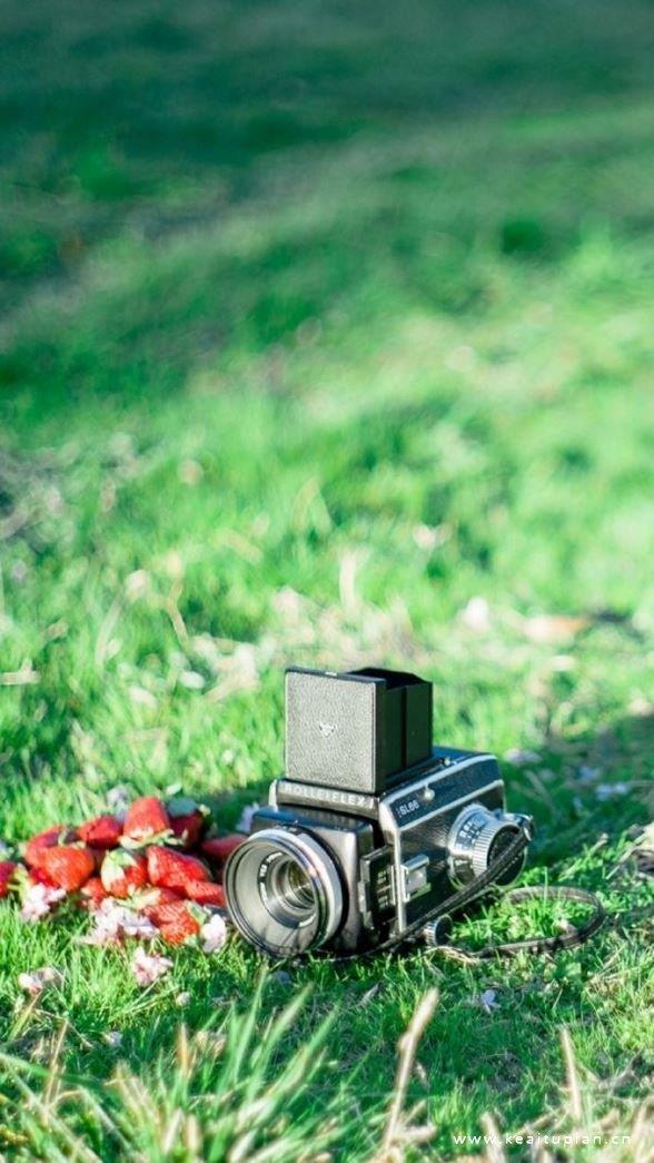 烟花易冷唯美绚丽图片_悲伤心事谁人知