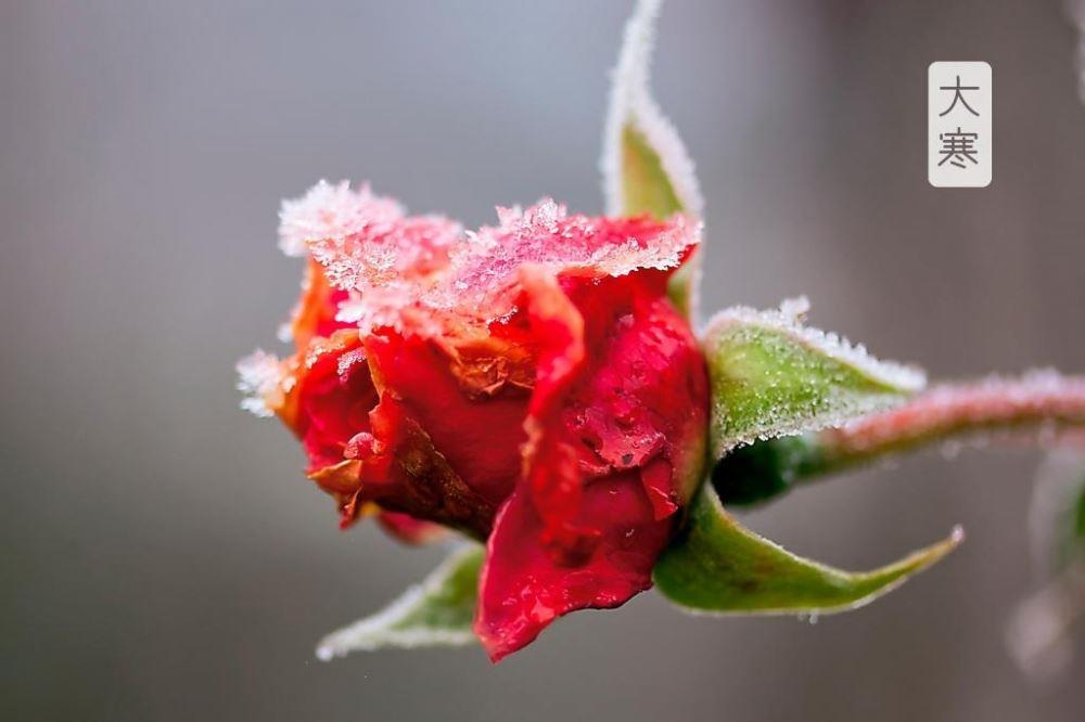 描写外貌的片段