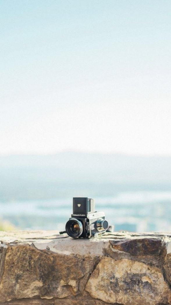 美丽有禅意的句子大全_禅意一句话