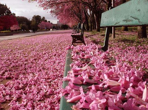 心灵的韧度,成就功业不可缺少的品格