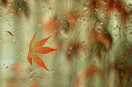 几何人生，人生几何，无奈人生短暂，生命宝贵