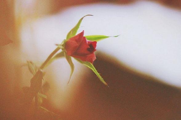 双手绑在床头调教乳尖 恶汉眼里的小桃花若欢