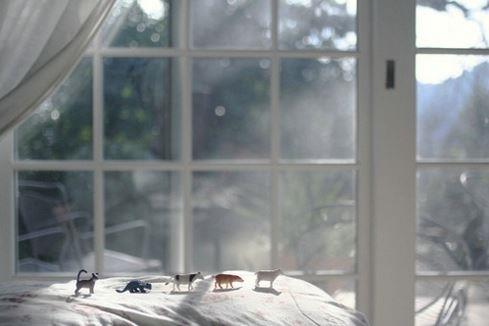 马云励志语句 建立自我、追求忘我