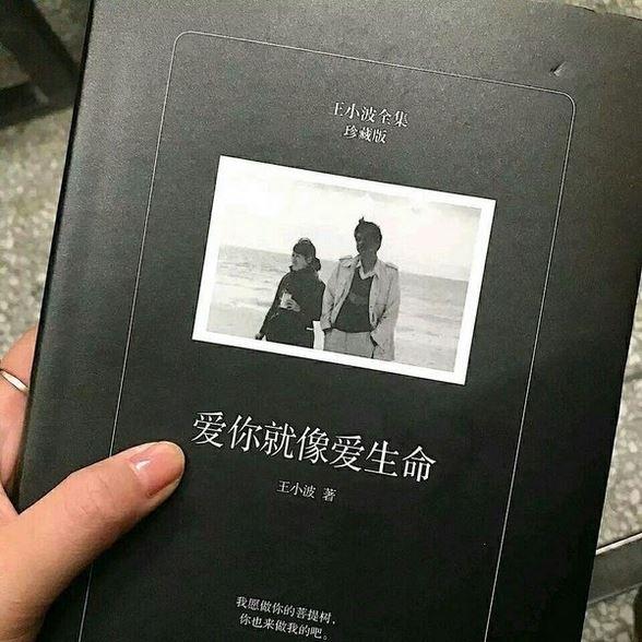 伟大的父亲，你就是我的心