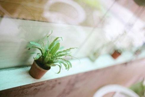 双手绑在床头调教乳尖 恶汉眼里的小桃花若欢