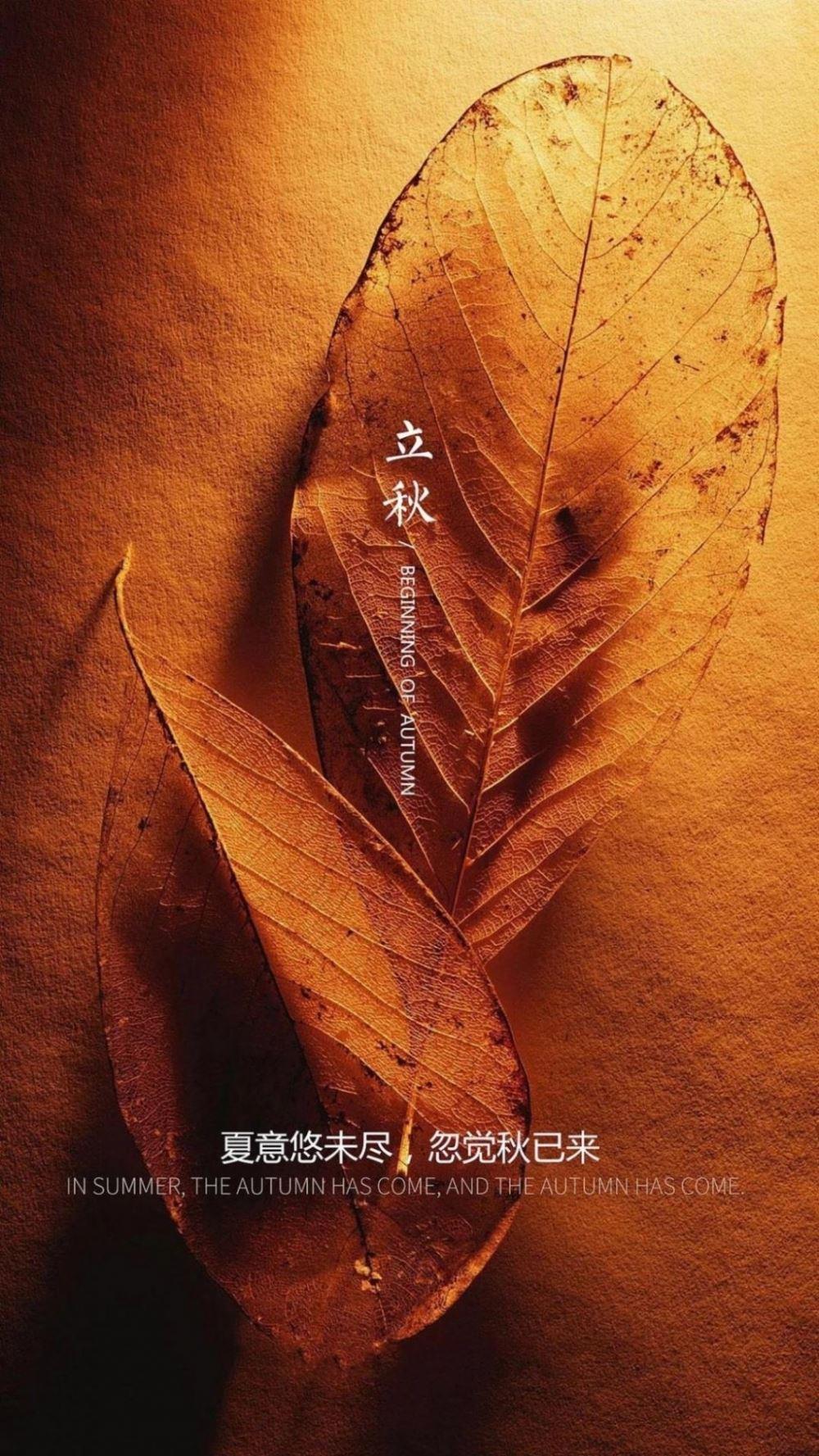 网恋的代价