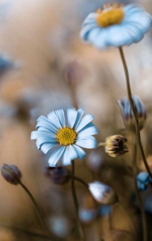 最深沉人生感悟的句子|感悟句子