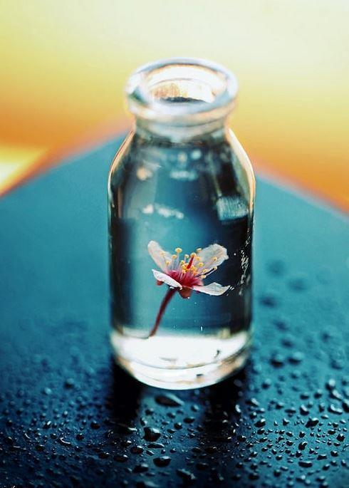 人生之境界：九气、九局、九品、九悟、九雅