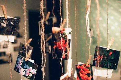 有关冷漠的美文摘抄