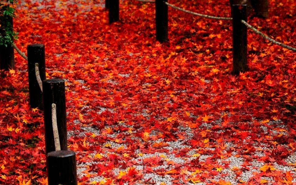 晚安的唯美短句100句,晚安短句