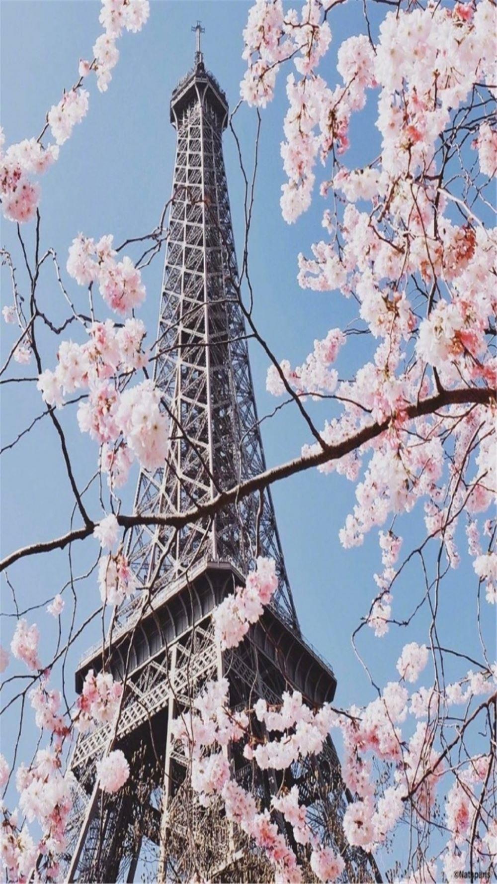 古钟鬼话