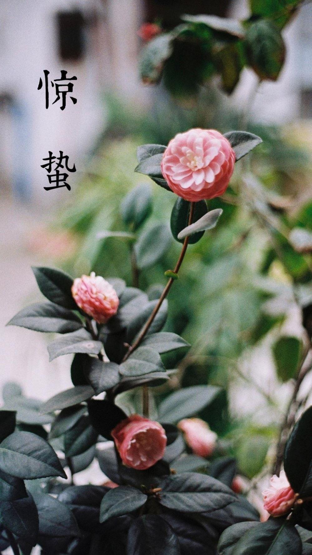 几米经典爱情语录40句