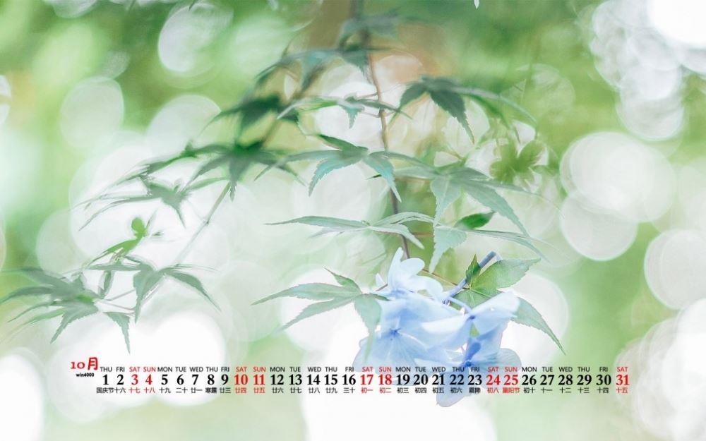 下雨天忧伤意境唯美图片_寂寞都市夜归人