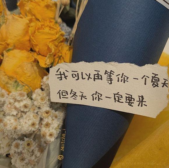 好男人站在中间