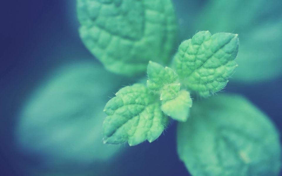 什么是人最重要的信条?