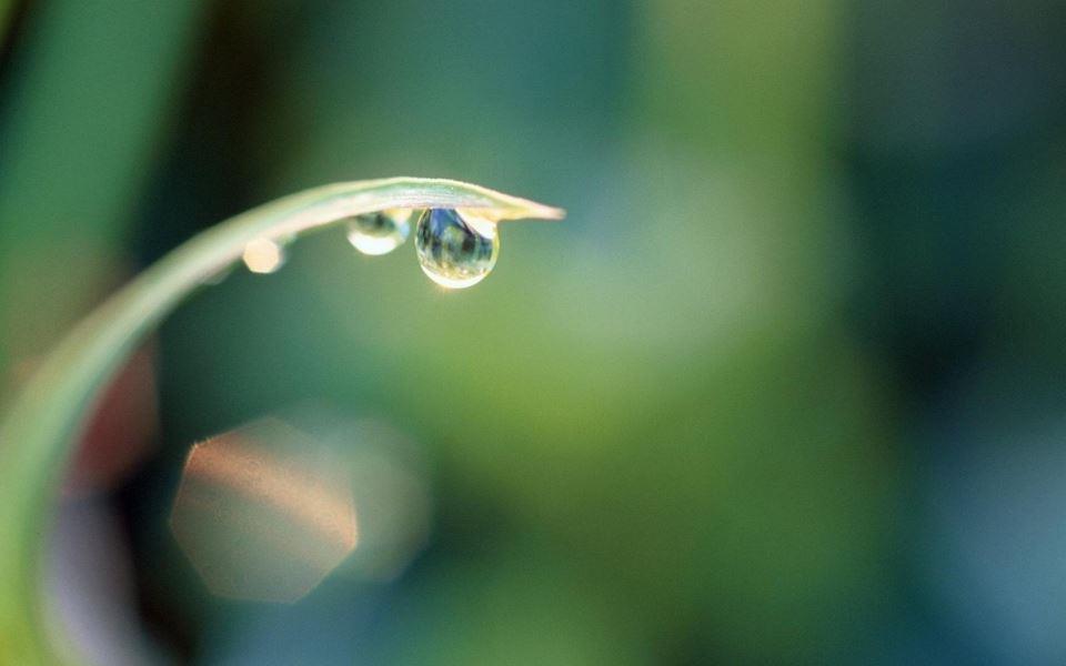 没有女朋友，就去卖玫瑰吧