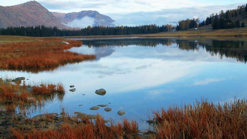 早安心情一句话十个字正能量，早安短语