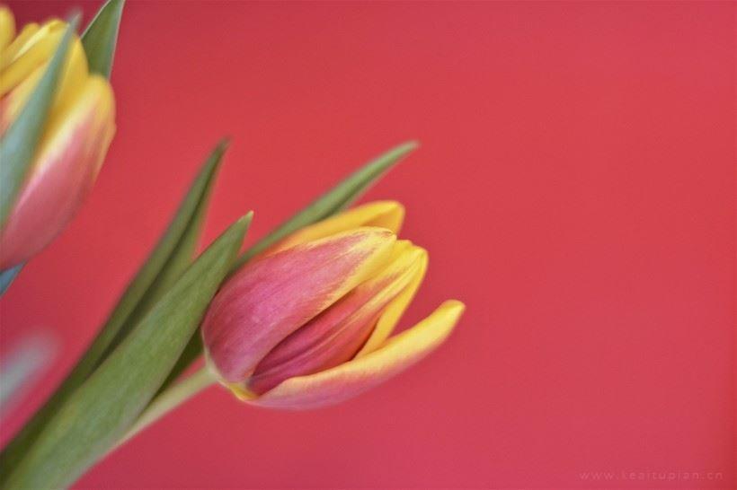 关于读书的美文摘抄