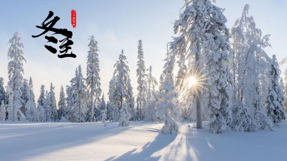 关于教育的句子
