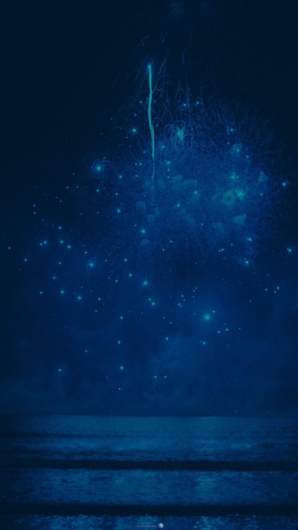 借一扇窗发现爱