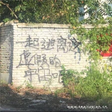 西藏拾贝，格桑花开