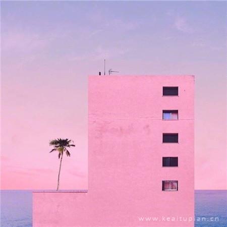 扭曲的报复