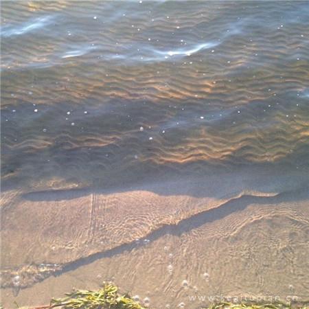 经典搞笑内涵语录短句/搞笑句子