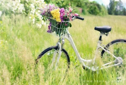 十一路：你只需要，不分青红皂白站在我身边