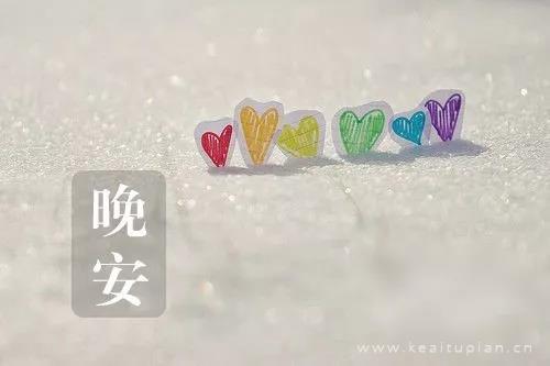 一只很二的猪拱了一棵水灵灵的菜
