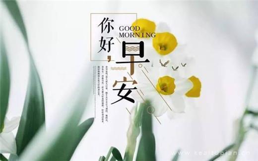 晓萍的爱情