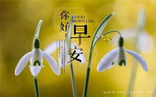 世间没有如果，只有赤裸的现实