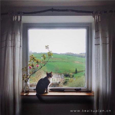 人生，就是一场修行