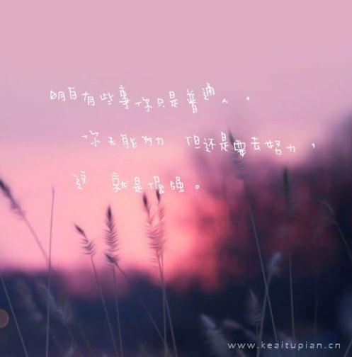 不能笑着拥有,但可以笑着放弃