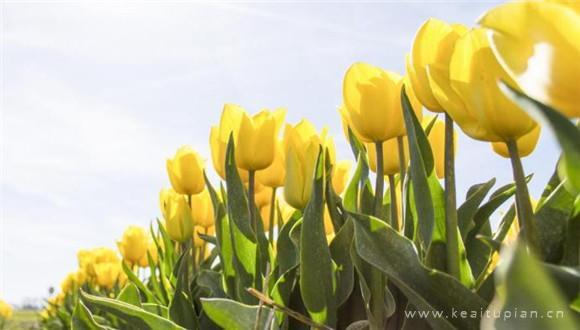 值得一生珍惜的十种人