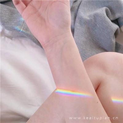 残树的语言