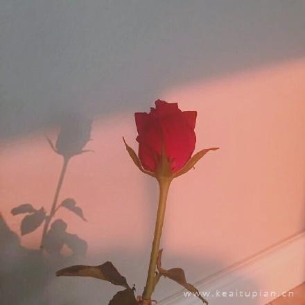 十字街口的等待