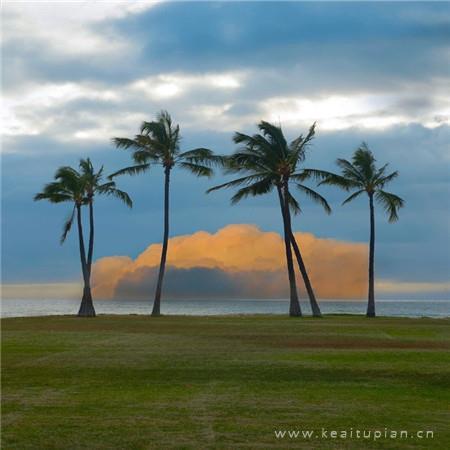 秋之嫣然,烟华向晚秋忆浓