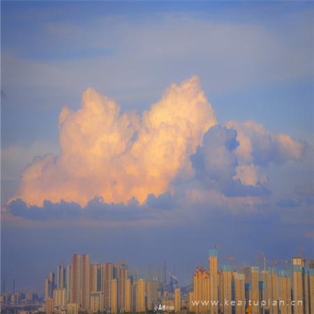 天使不懂海豚的痛_1