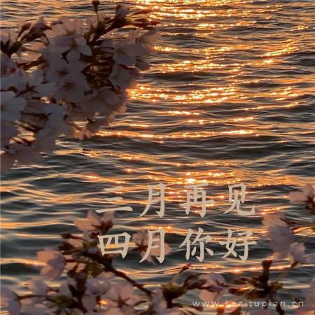 湖中女尸