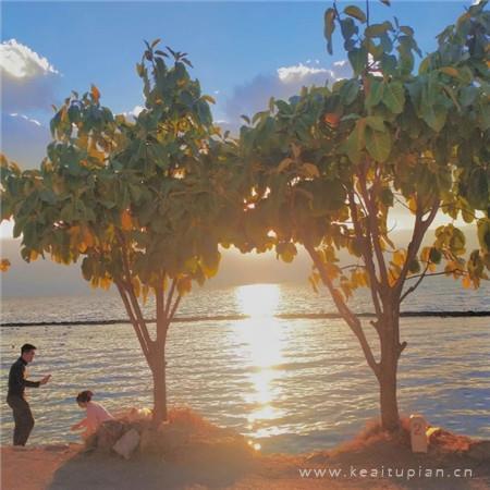 不去期望，失去了不会伤心，得到了便是惊喜。