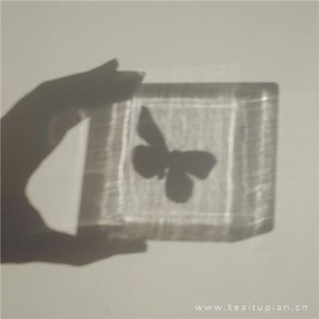 将爱逼入绝境