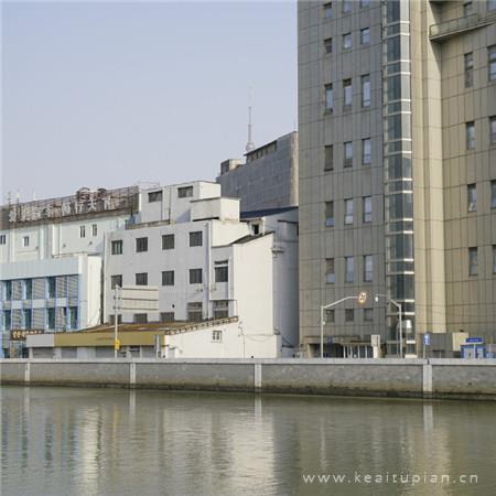 有关周立波的最新经典语录