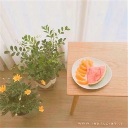 爱情宣言经典语录 爱情宣言经典语录简短